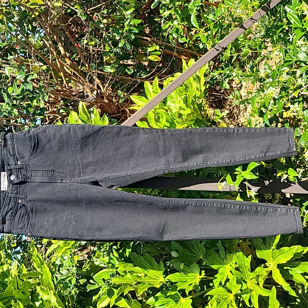 Everlane The Curvy Way-High Skinny Jean Size 27 Crop